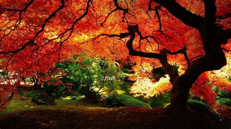 Pinterest Fall Desktop Wallpapers - Top Free Pinterest Fall Desktop Backgrounds - WallpaperAccess