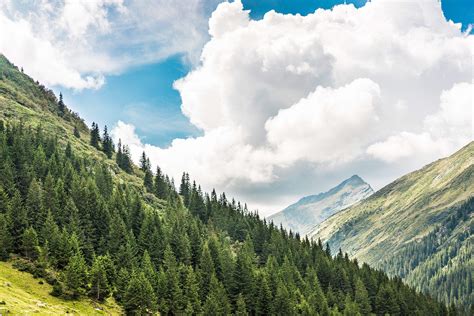 Beautiful Nature in Romanian Mountains Free Stock Photo | picjumbo