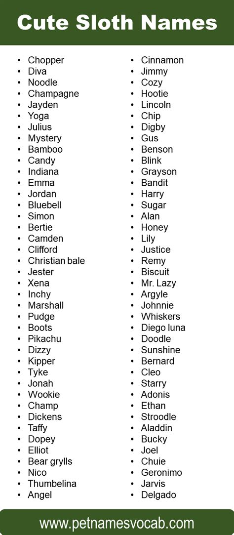 Best Names for Sloth: Male, Female, Cute & Funny - Pet Names Vocab