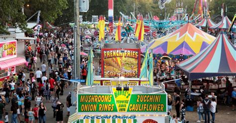 Allegan County Fair reports high attendance for 2021