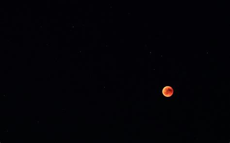 Lunar Eclipse · Free Stock Photo