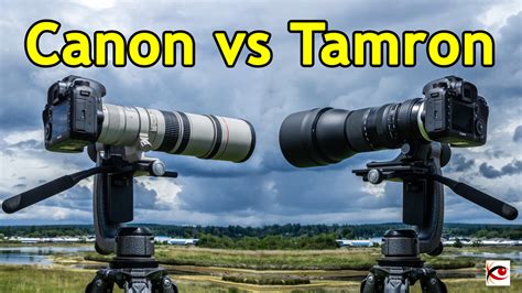 Canon 400mm f/5.6L vs. Tamron 150-600mm G2 Lenses for Wildlife ...