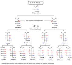 22 Carbohydrates ideas | chemistry, organic chemistry, carbohydrates