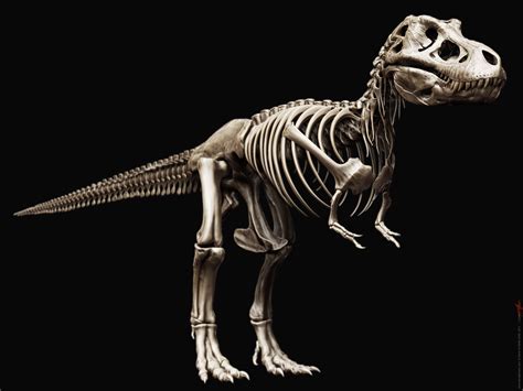 T-Rex Prehistoric Dinosaurs, Dinosaur Fossils, Prehistoric Creatures ...