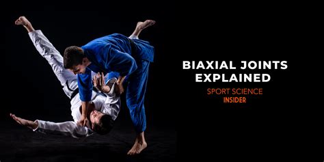 Biaxial Joints Explained – Sport Science Insider