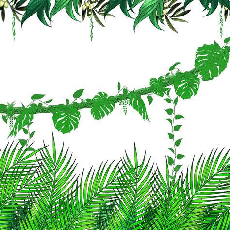 Amazon Rainforest Png File Png Mart - vrogue.co