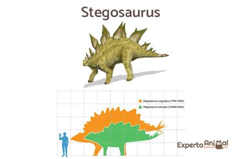 Tipos de dinosaurios herbívoros - Nombres, características e imágenes