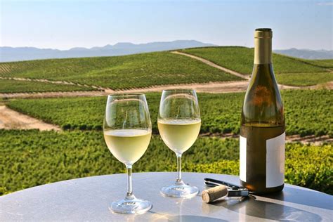 Best wineries in Napa and Sonoma, Things to Do and Tours