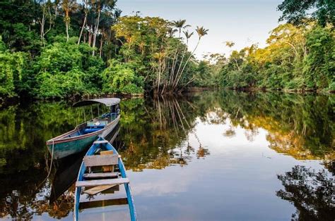 Discover the Natural Wonders of Cuyabeno Wildlife Reserve in Ecuador – Barefoot Expeditions