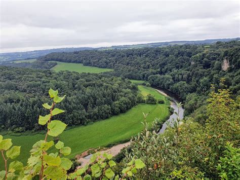 Walks at Symonds Yat Rock Viewpoint, and Symonds Yat Village