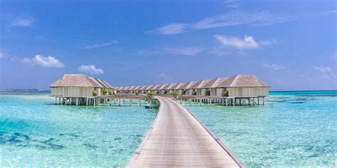 Resorts Overwater Bungalow