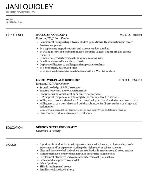 Mentor Job Description Resume