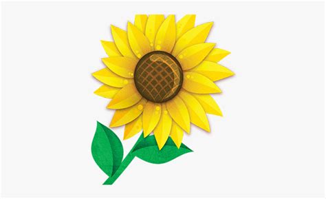 Download High Quality sunflower clip art Transparent PNG Images - Art Prim clip arts 2019