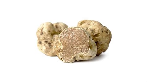 Alba White Truffle, a Piedmont jewel | Greg Report