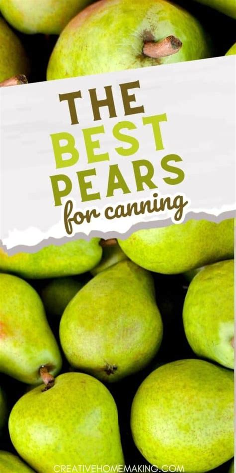 Best Pears for Canning: A Guide to the Juiciest and Most Flavorful ...