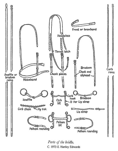 Saddle & Bridle Repair | Ploughman's Saddlery & Belts