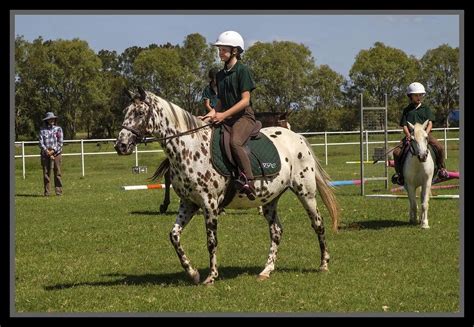 29 Horse Camp Activities That Are Fun For Kids and Adults - Helpful ...