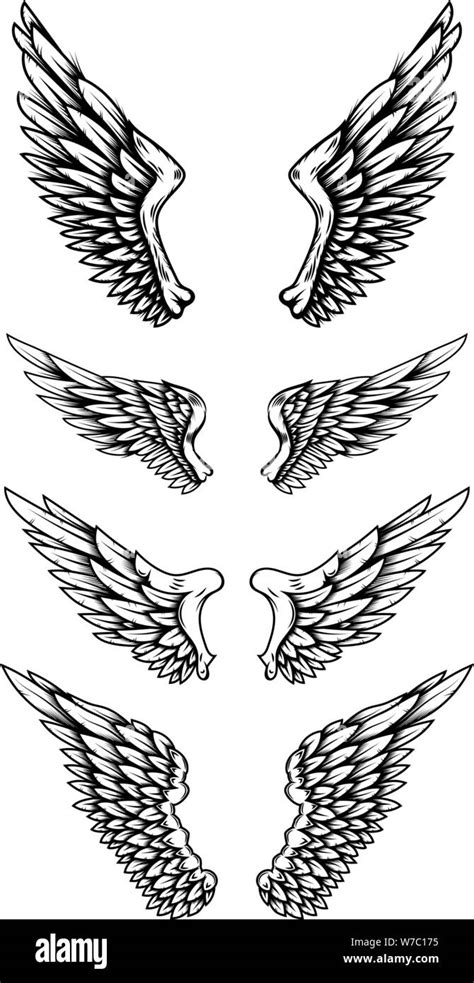 Drawings Of Eagle Wings