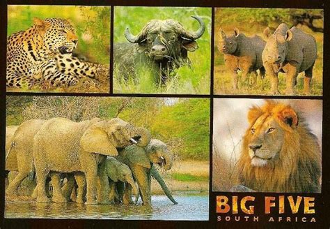 Children seeing Big Five in Kruger National Park. — Steemit