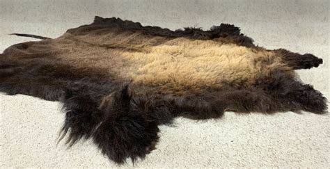 Buffalo Hides for Sale — Claw, Antler & Hide Co.