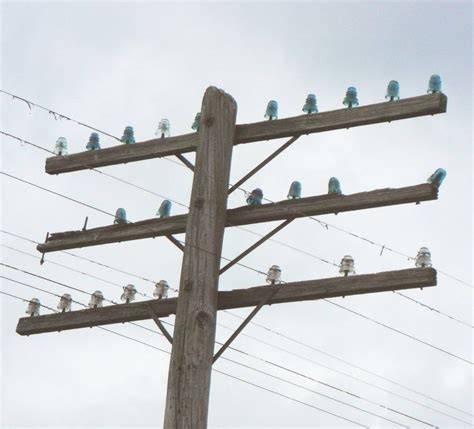 Telegraph Line pole with glass insulators, along a railroad in Indiana ...