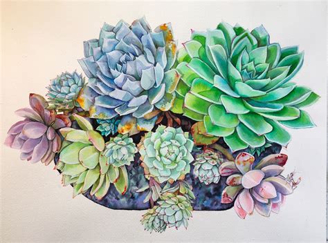 Succulent's lil Visitor | Succulents drawing, Succulents illustration, Cactus painting