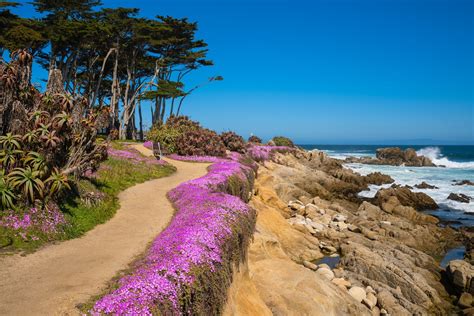 The Best Cities in the US: 2023 Readers’ Choice Awards | Best cities, Monterey, Monterey beach