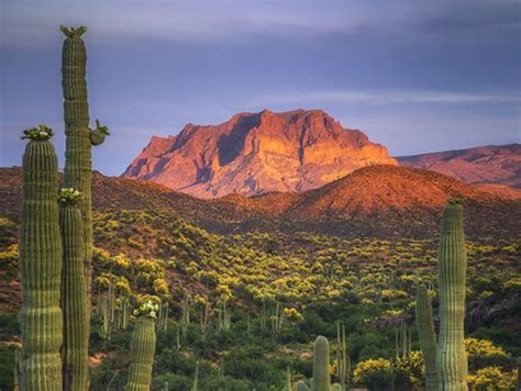 The ultimate list of things to do in Tucson, Arizona