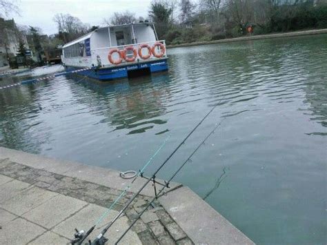 Pike fishing on the river Medway in Maidstone town centre. Pike Fishing, Cool Fish, Medway ...