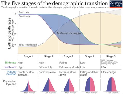 Population Pyramids | Concise Medical Knowledge