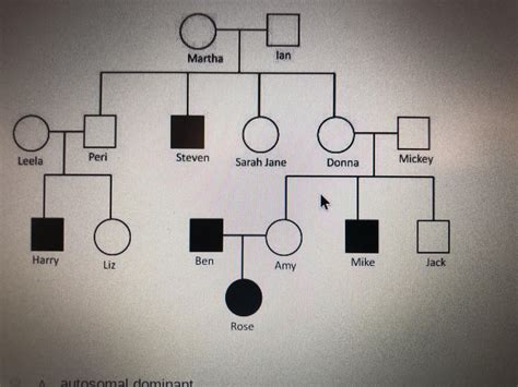 41 Hilarious Pedigree Chart Puns - Punstoppable 🛑