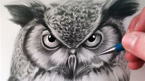 Owl Images Drawing at GetDrawings | Free download