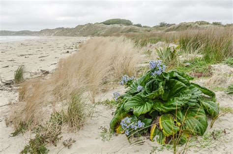 The Chatham Islands, New Zealand, in pictures | CNN