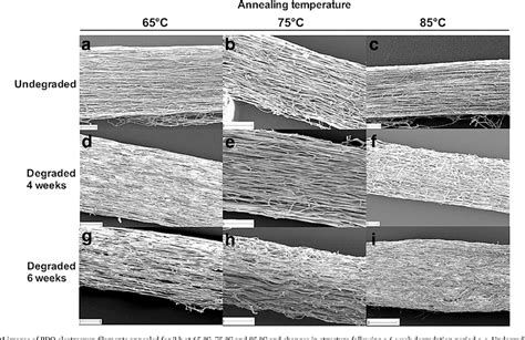 Figure 1 from Effect of annealing on the mechanical properties and the degradation of ...