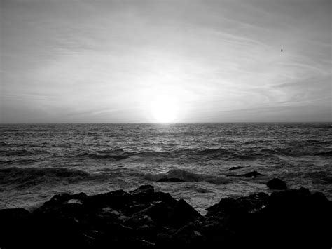 Black and white sunset | Sunset, Black and white, Outdoor