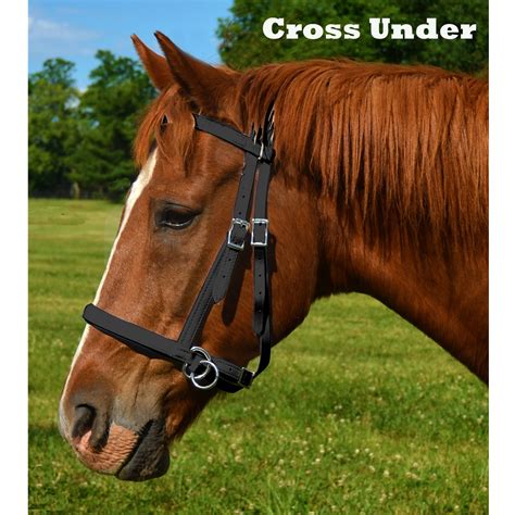 Buy Horse Size 2 in 1 Bitless Bridles for Horses | Two Horse Tack