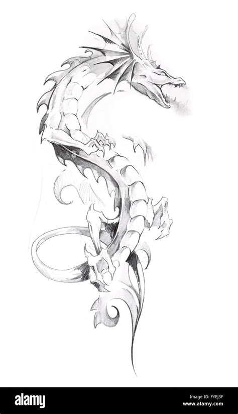 Sketch of tattoo art, dragon Stock Photo - Alamy