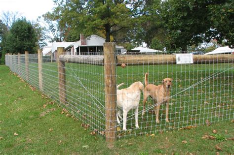 Woven wire fence installation in ranch house with acreage | Dog yard fence, Dog fence, Pet fence