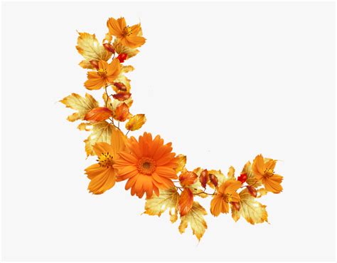 Orange Flowers Background Images | Best Flower Site