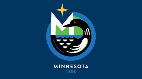 Unfurled! Minnesota state flag public submissions revealed | MPR News