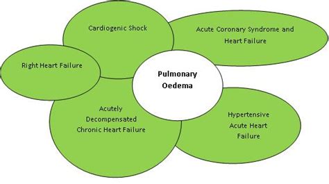 Cardiogenic Pulmonary Oedema - RCEMLearning