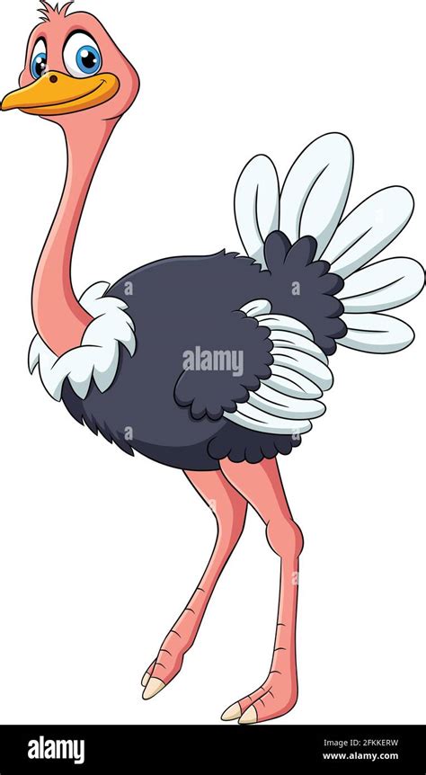 Ostrich female Stock Vector Images - Alamy