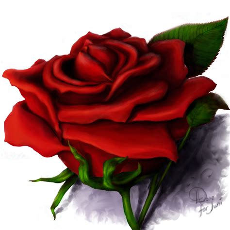 Red Rose Drawing at GetDrawings | Free download