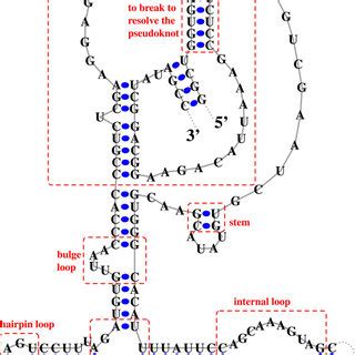 RNA secondary structure example. Schematic representation of the ...