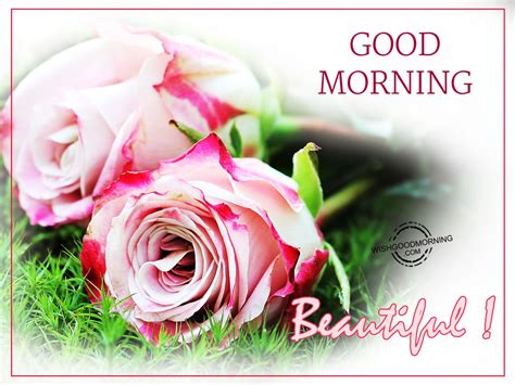 Good Morning Wishes For GirlFriend - Good Morning Pictures – WishGoodMorning.com