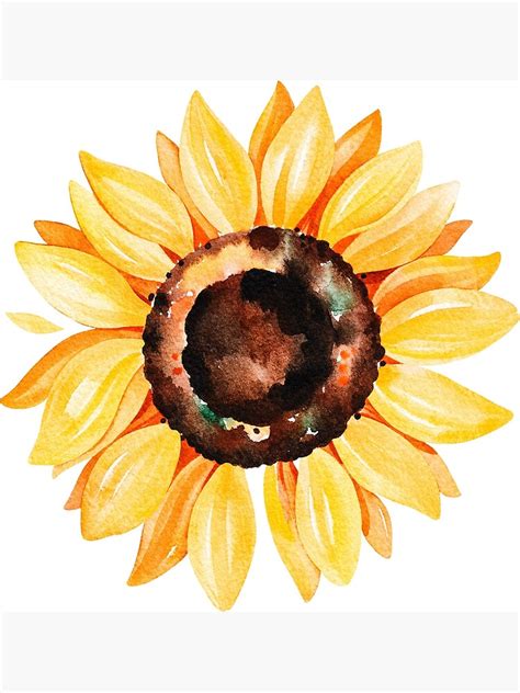 "Watercolor sunflower" Art Print by SouthPrints | Redbubble