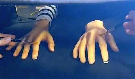 Classic Rubber Hand Illusion is Flawed, Says Study - Daily Science Digest