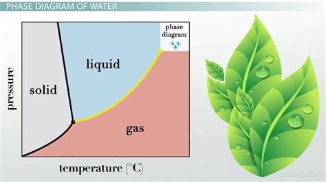 37+ Phase Diagram Of Water - RuhiyahZeyu