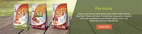 24 Bad Dog Food Ingredients to Avoid