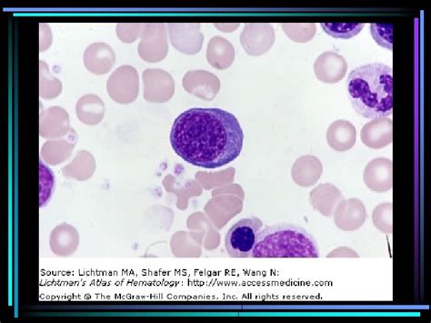 HEMATOLOGY HEMATOPOIESIS Introduction HEMATOLOGY Introduction Study of blood